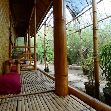 Uncle Hippie'S Dream Hostel Gili Meno Exterior foto