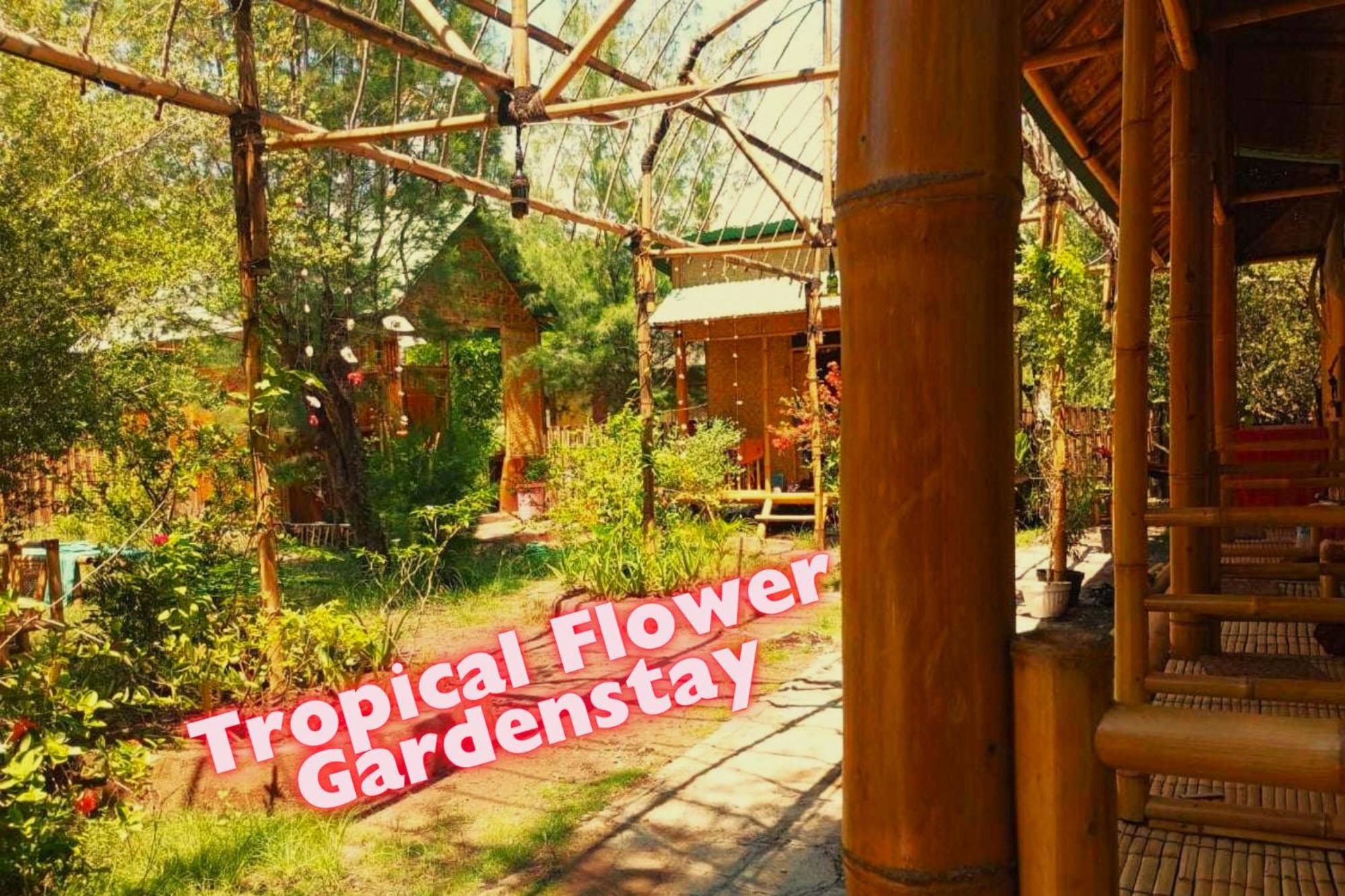 Uncle Hippie'S Dream Hostel Gili Meno Exterior foto