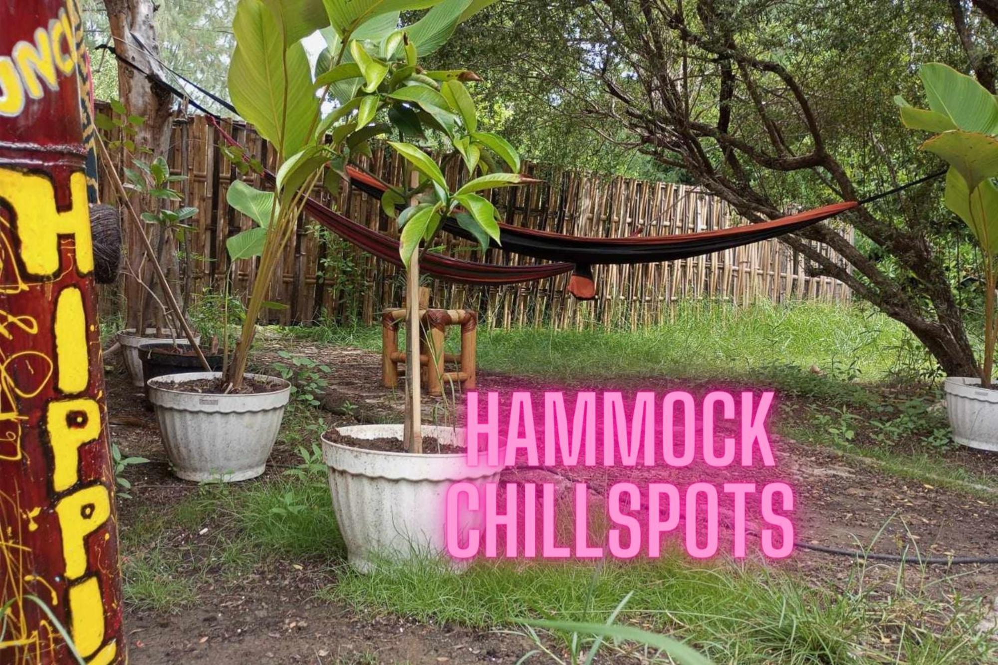 Uncle Hippie'S Dream Hostel Gili Meno Exterior foto
