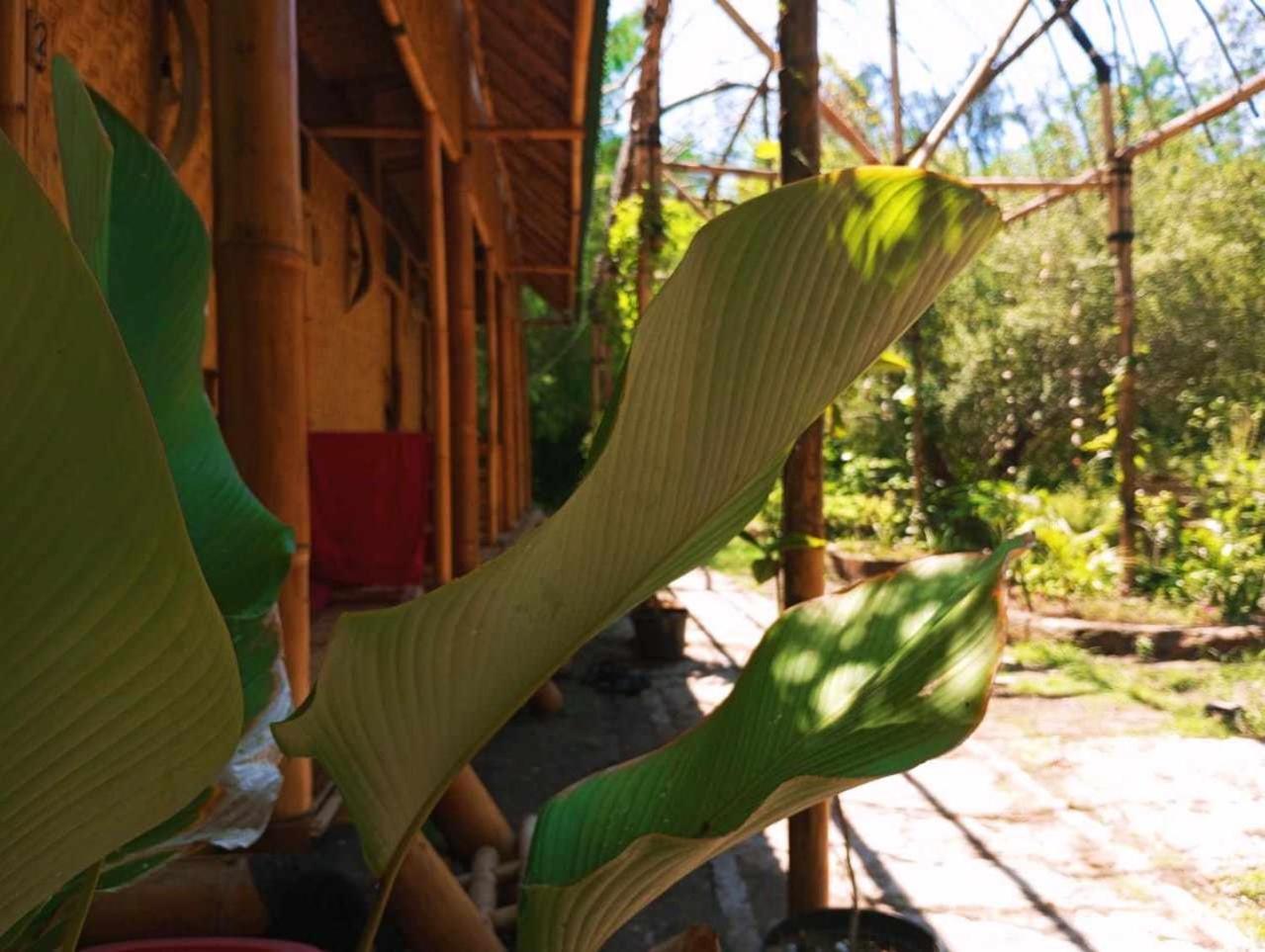 Uncle Hippie'S Dream Hostel Gili Meno Exterior foto