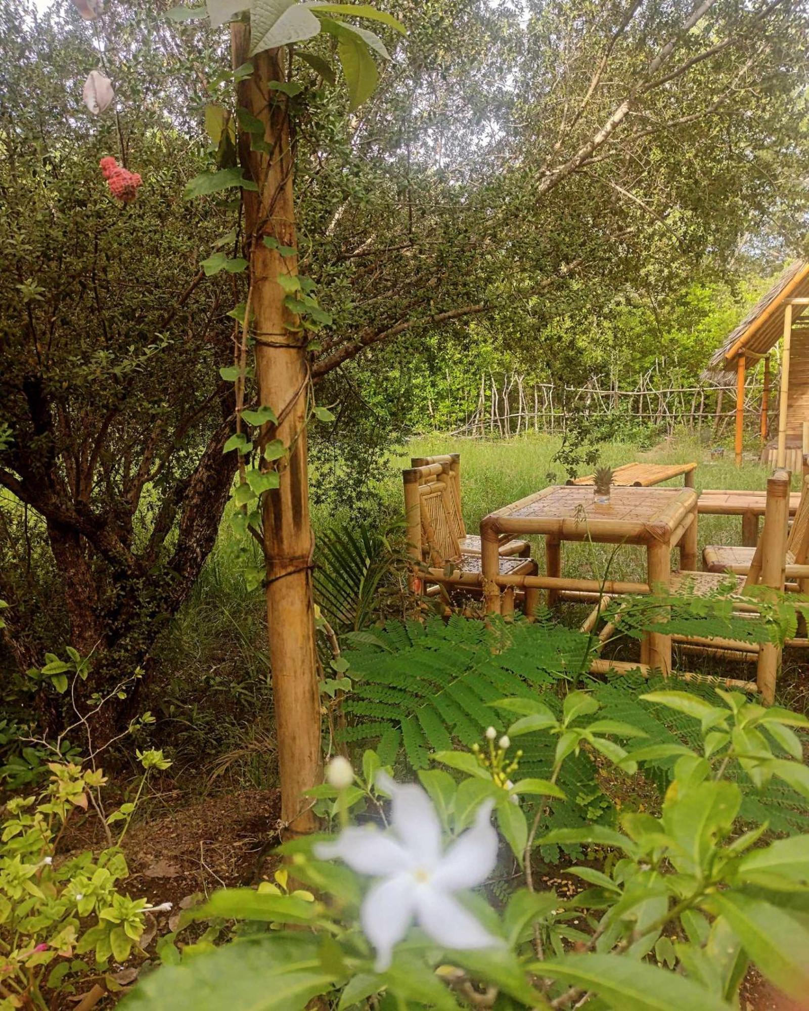 Uncle Hippie'S Dream Hostel Gili Meno Exterior foto