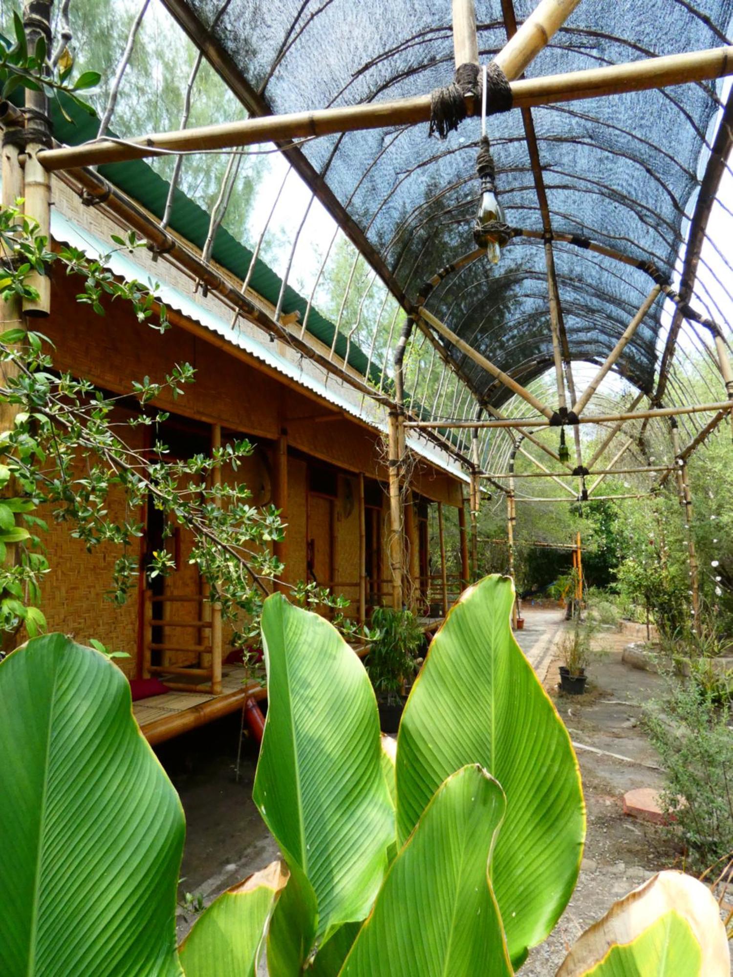 Uncle Hippie'S Dream Hostel Gili Meno Exterior foto