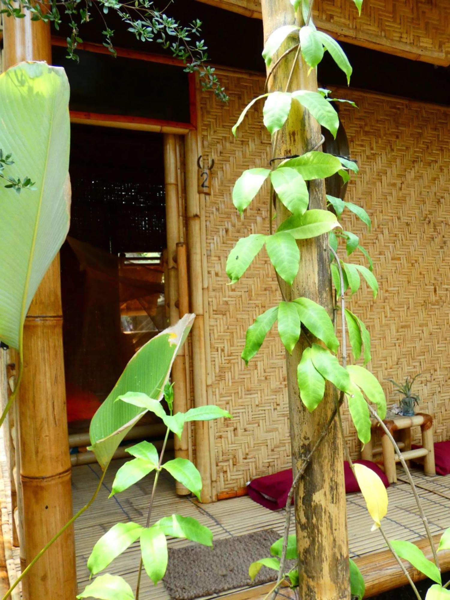 Uncle Hippie'S Dream Hostel Gili Meno Exterior foto