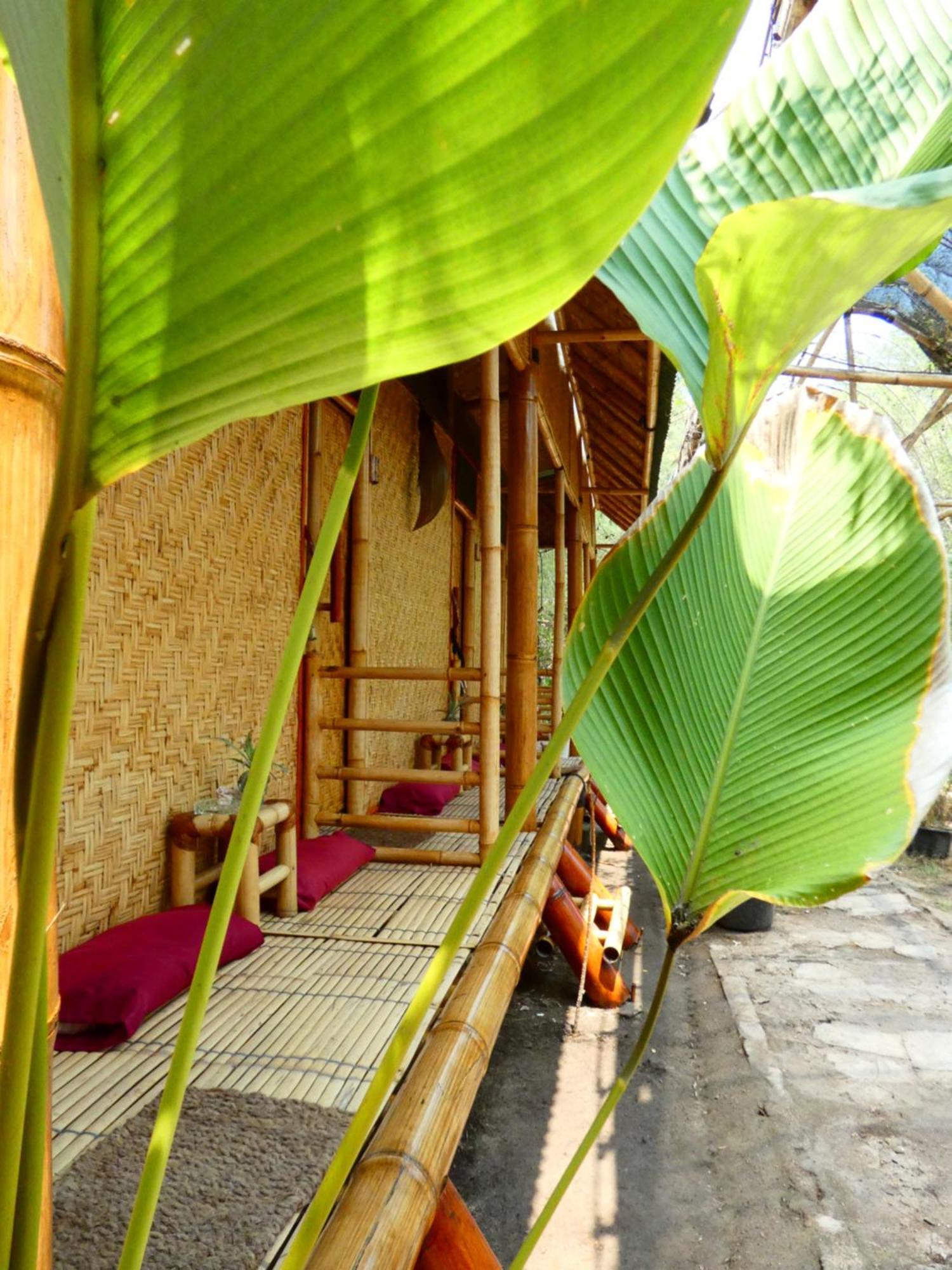 Uncle Hippie'S Dream Hostel Gili Meno Exterior foto